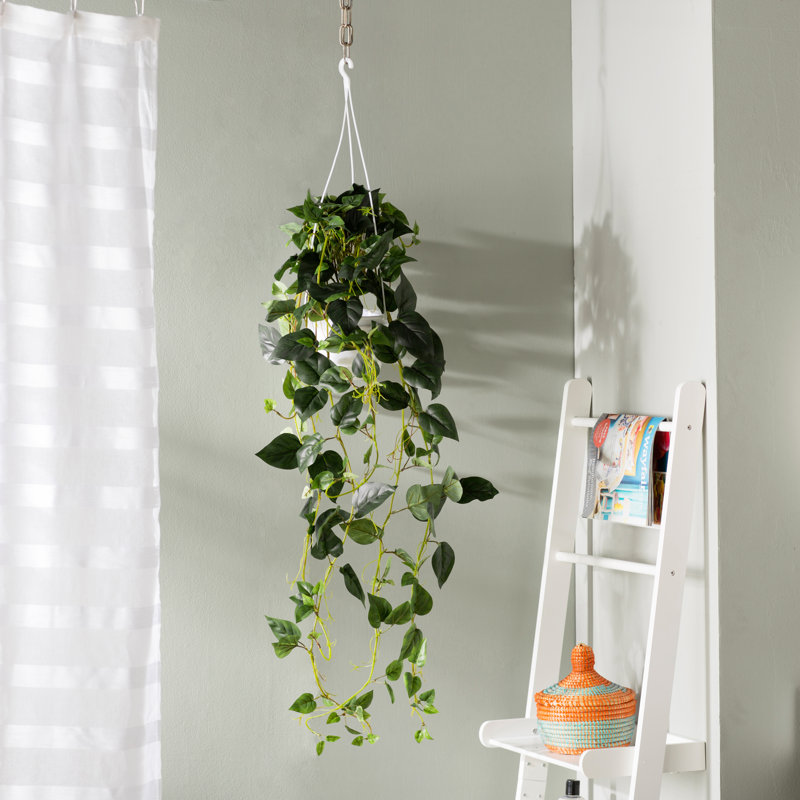 Langley Street Philodendron Silk Hanging Plant in Basket & Reviews